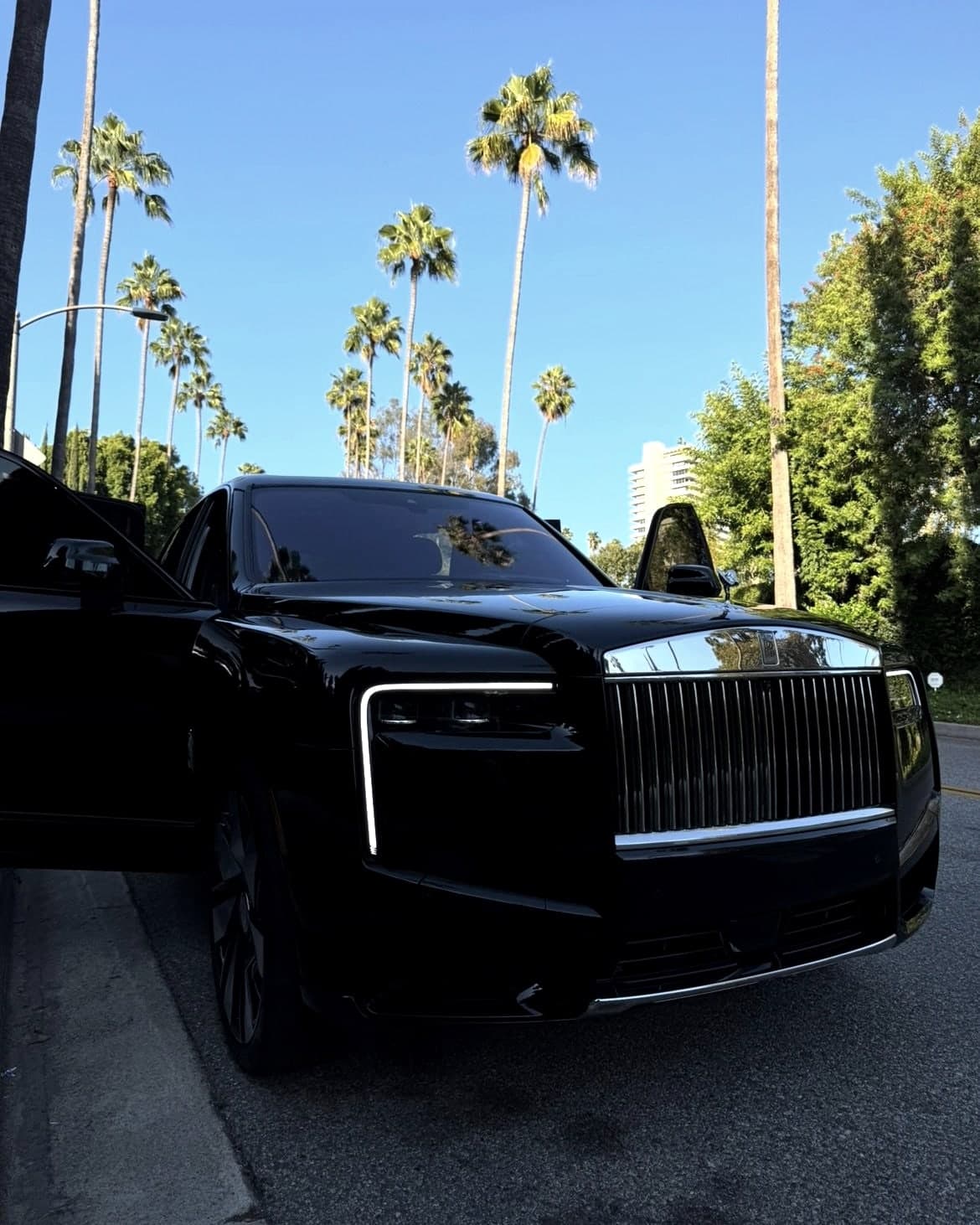 Black Rolls-Royce Cullinan parked beneath tall palms on a Beverly Hills street