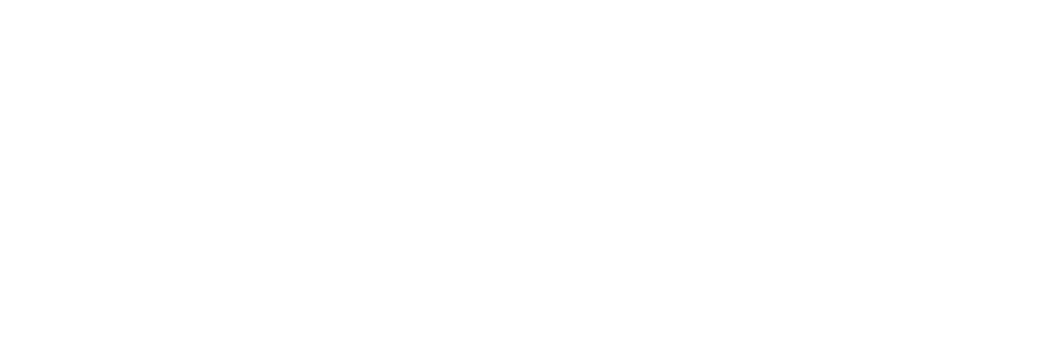 CarPluggLA