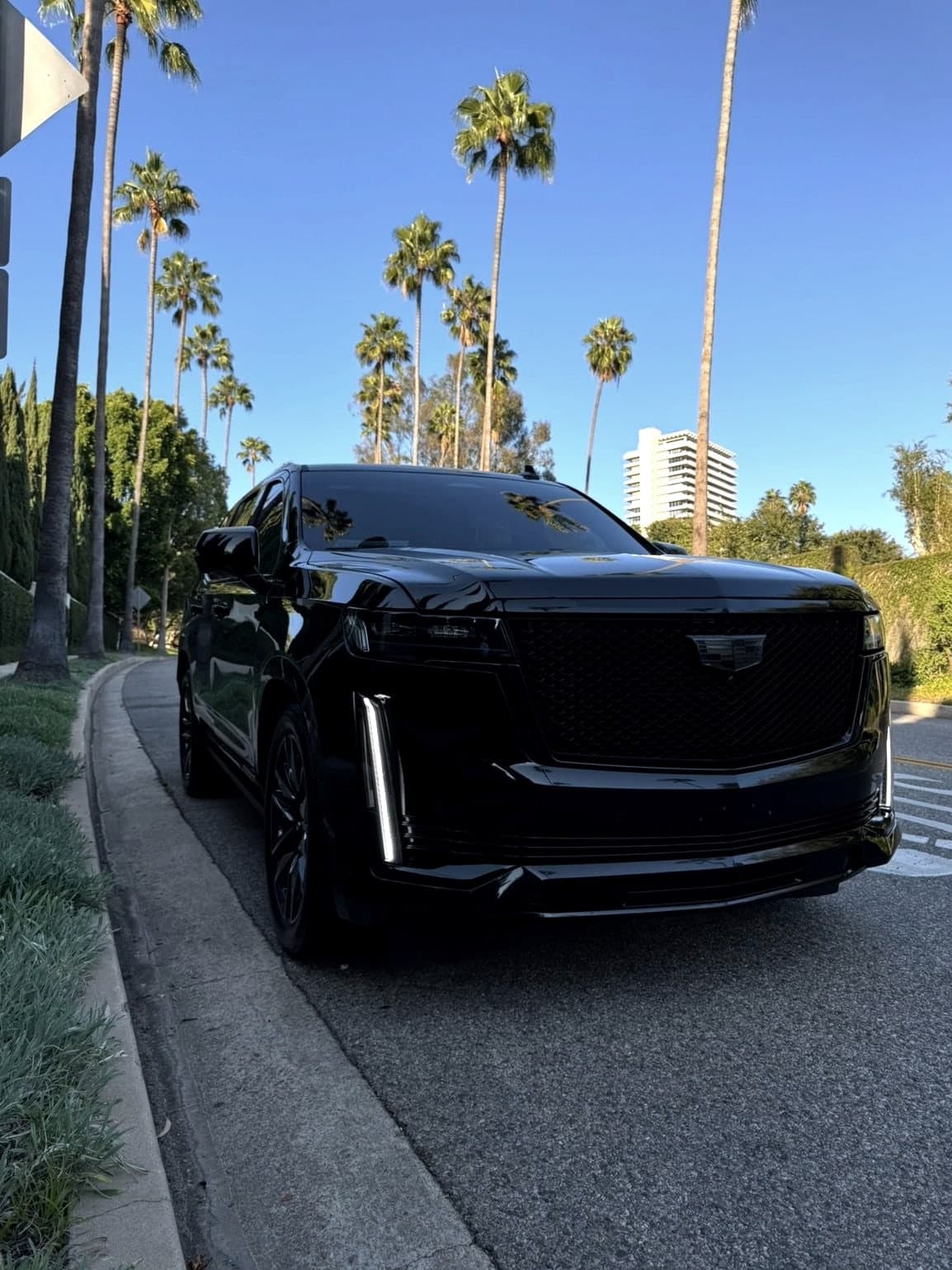Black Cadillac Escalade-V parked curbside on a palm-lined Los Angeles street