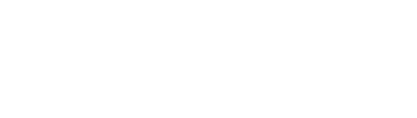 CarPluggLA